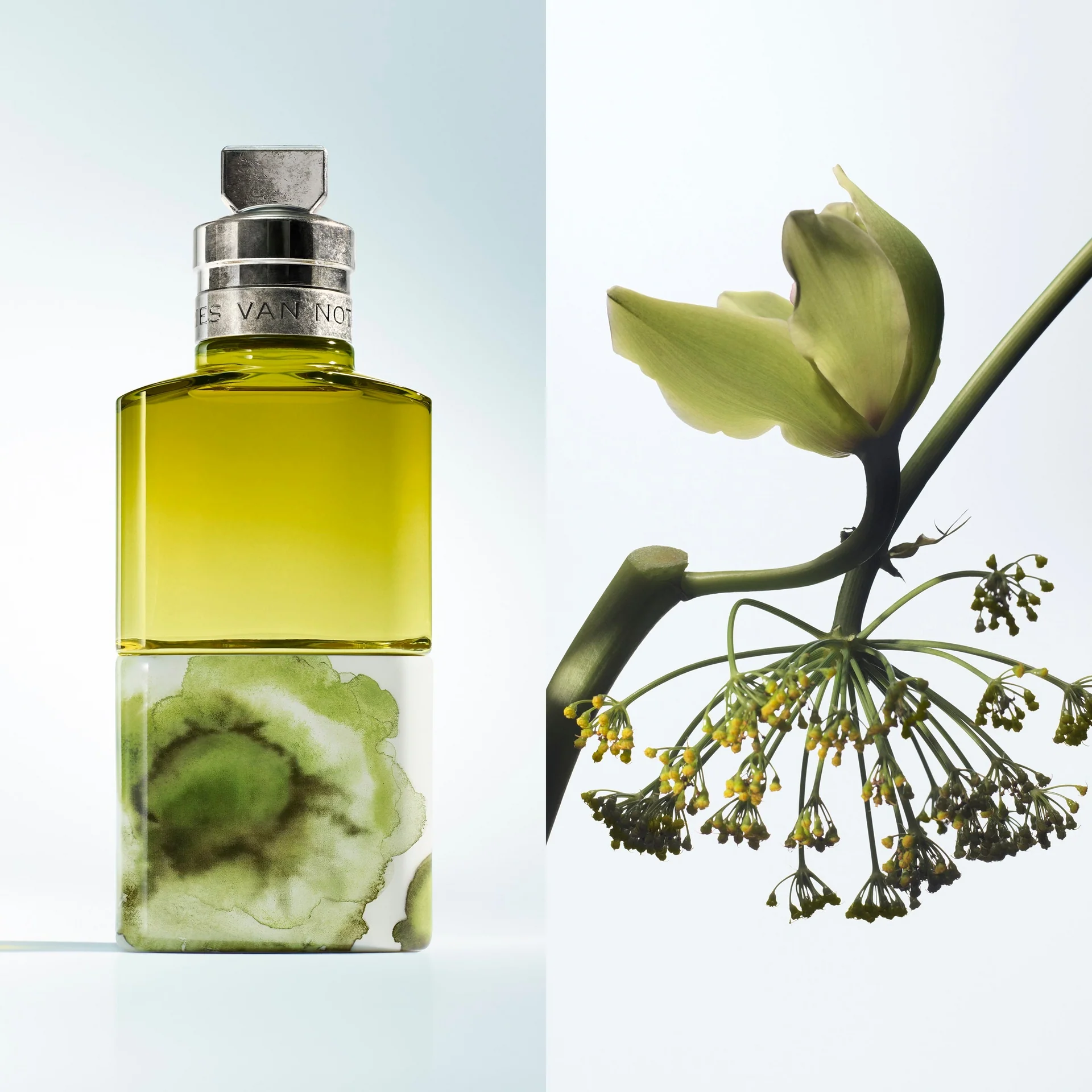 Learn the Timeless Art of Fragrance Design for Memorable Experiences